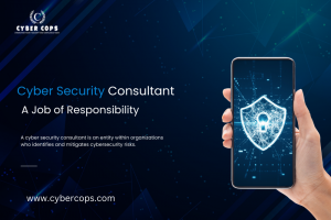 Cyber Security Consultant: A Job of Responsibility
